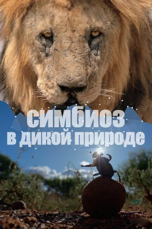Симбиоз в дикой природе 1 сезон